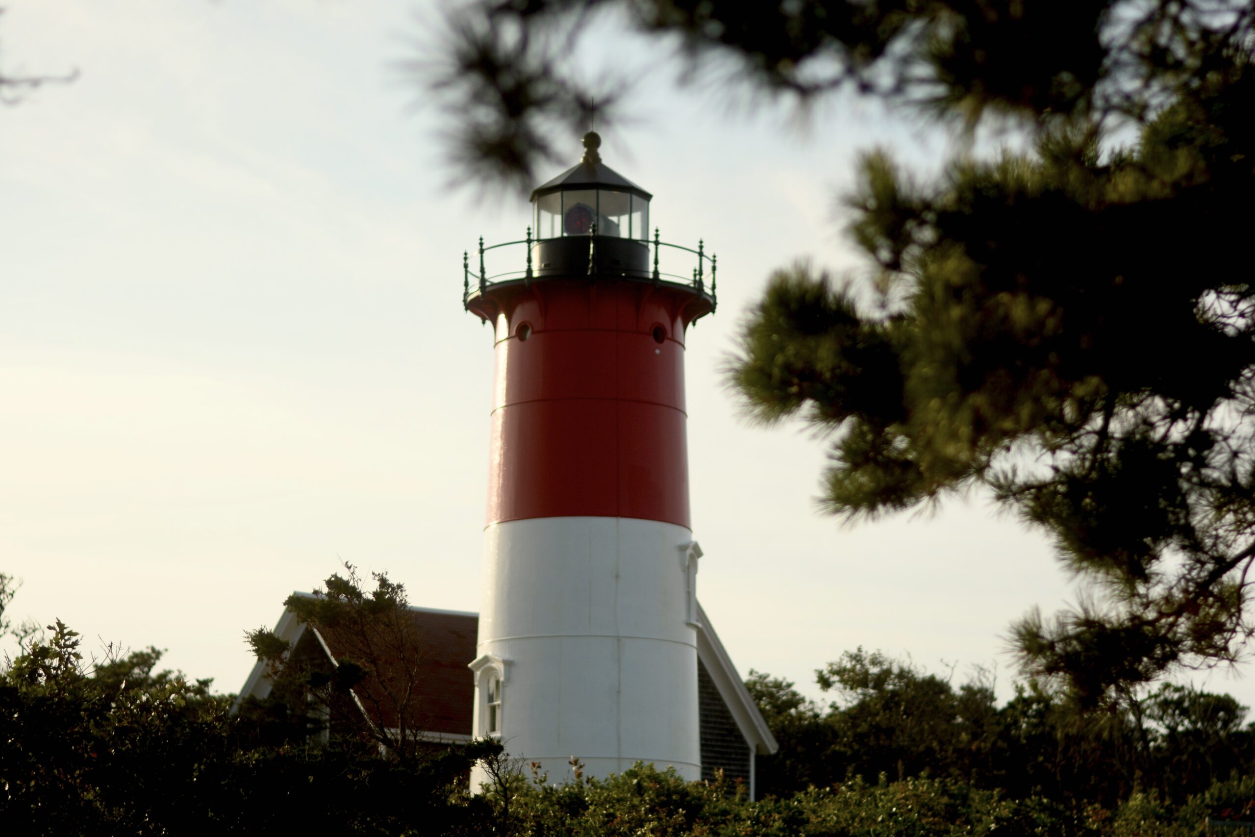 Your Cape Cod Travel Guide