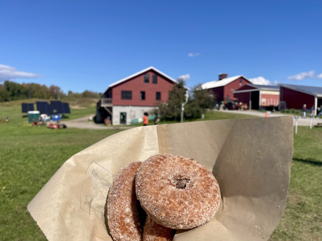 Apple cider donuts at Rose Hill Cidery