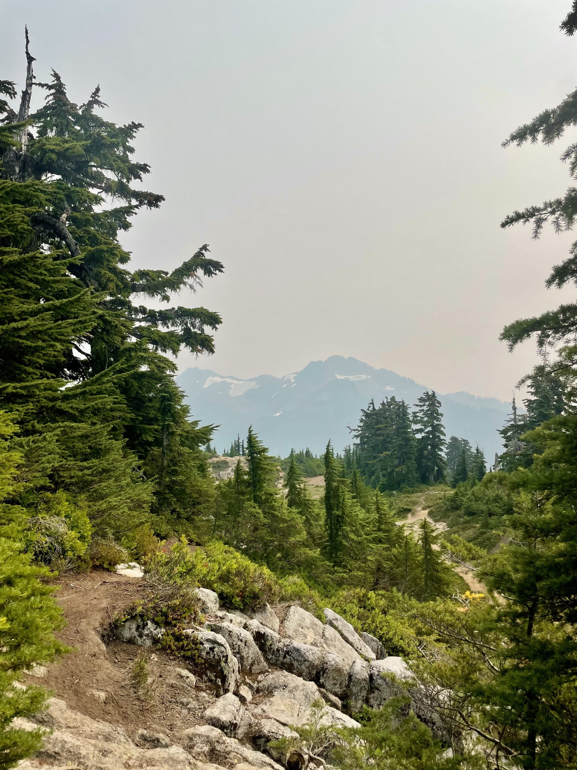 Artist Point near Mount Baker