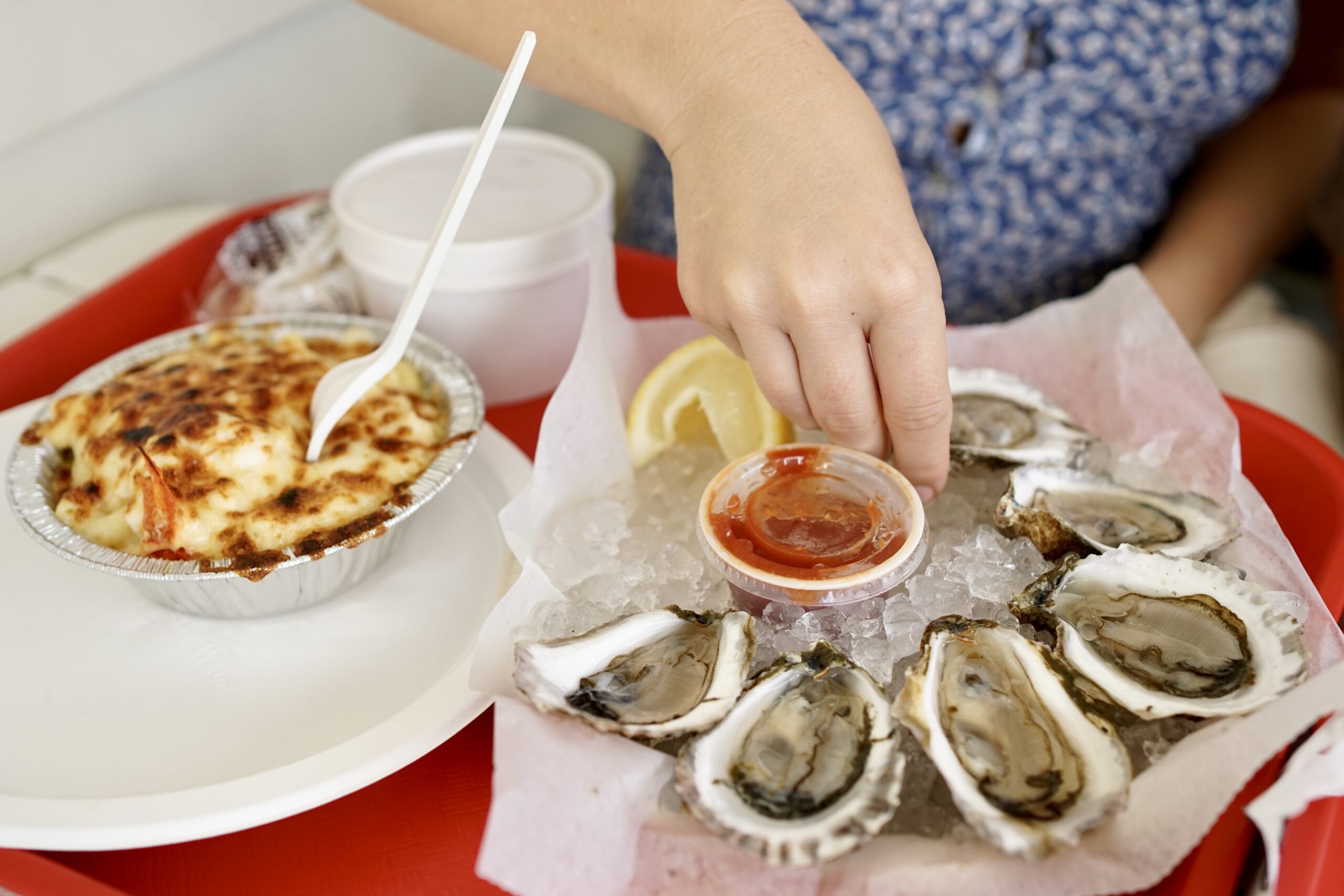 Where to eat in Cape Cod