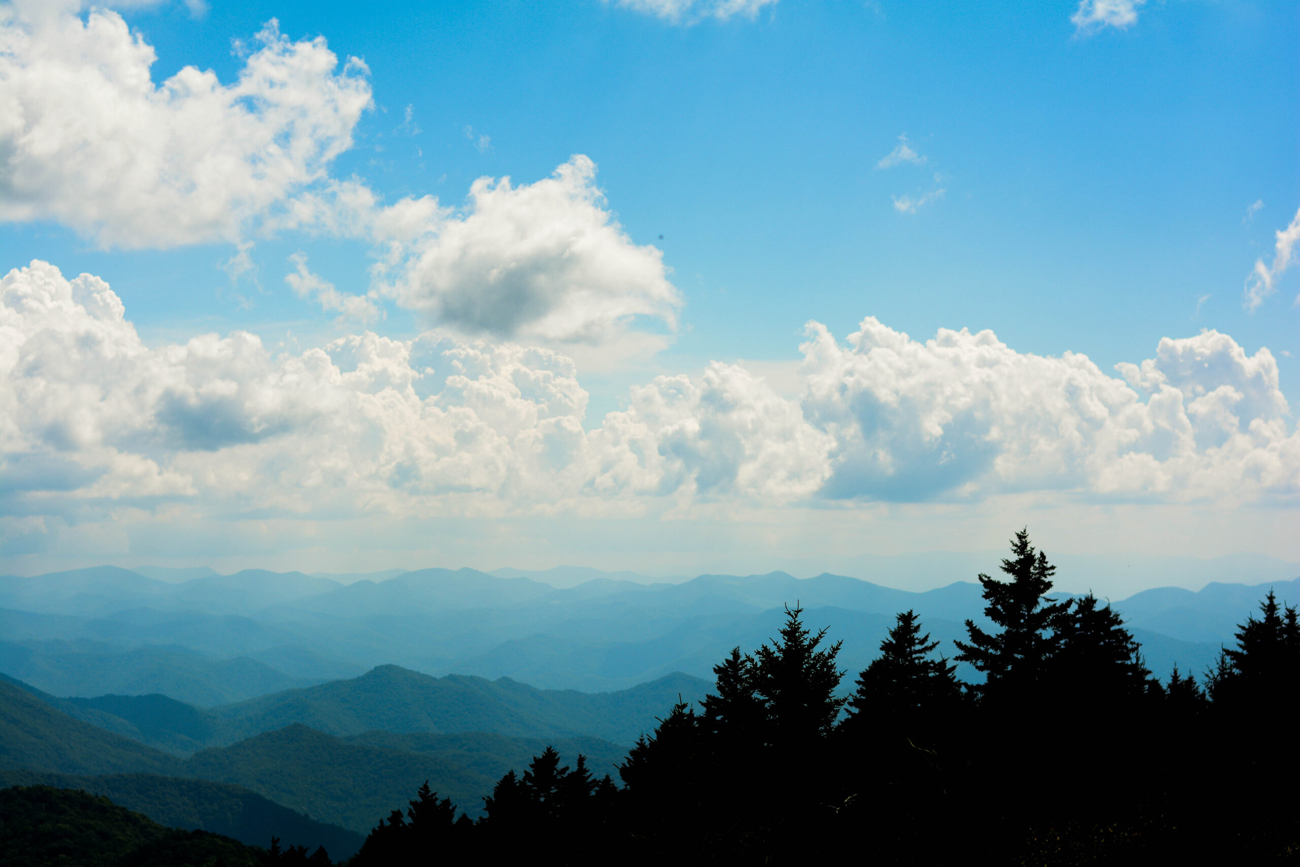 A Day on the Blue Ridge Parkway Near Asheville