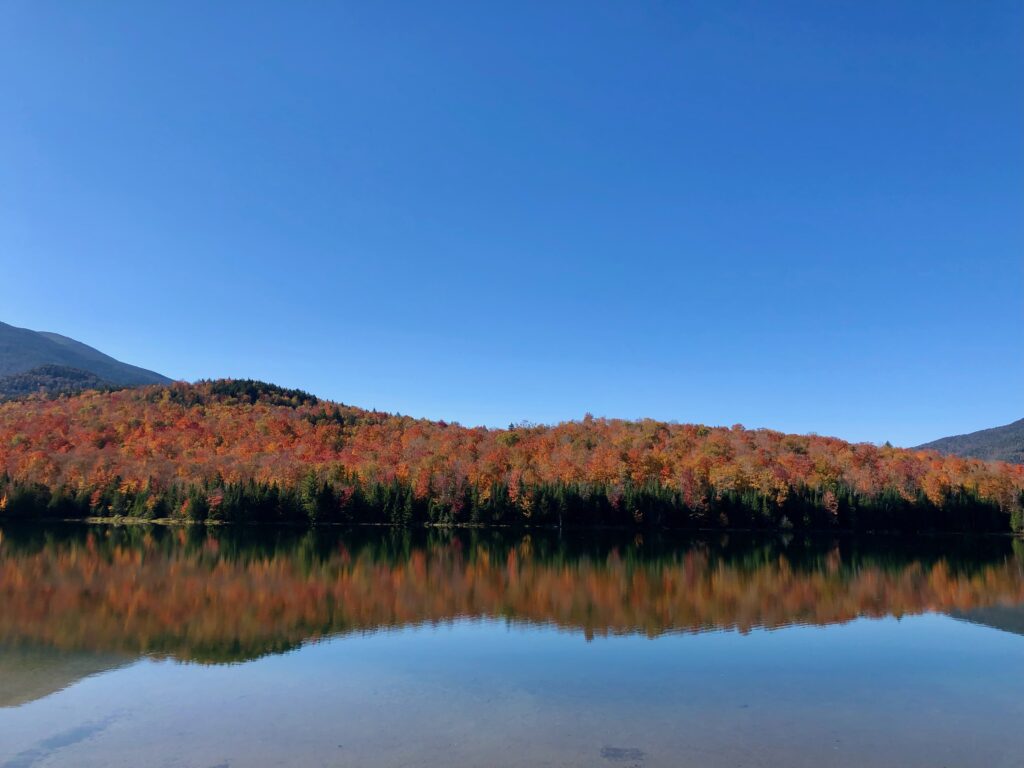 Near Mount Jo in the Adirondacks