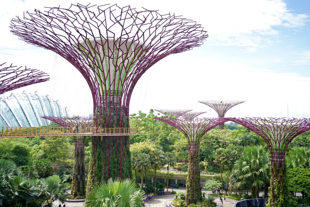 Singapore Supertrees