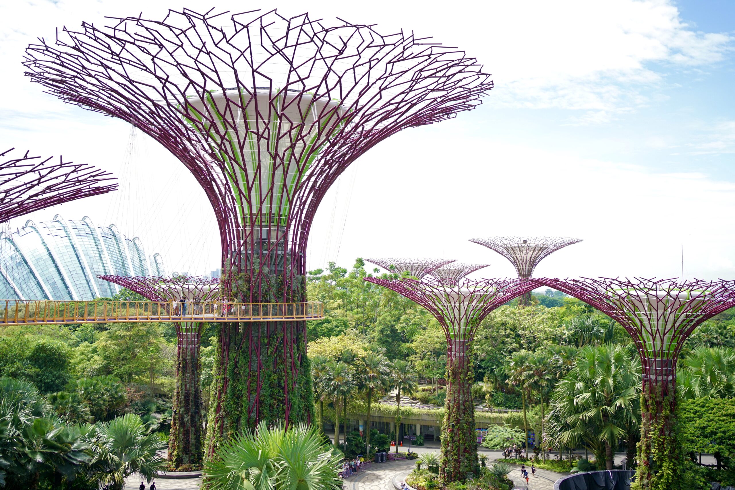 What to Know Before Visiting Gardens by the Bay