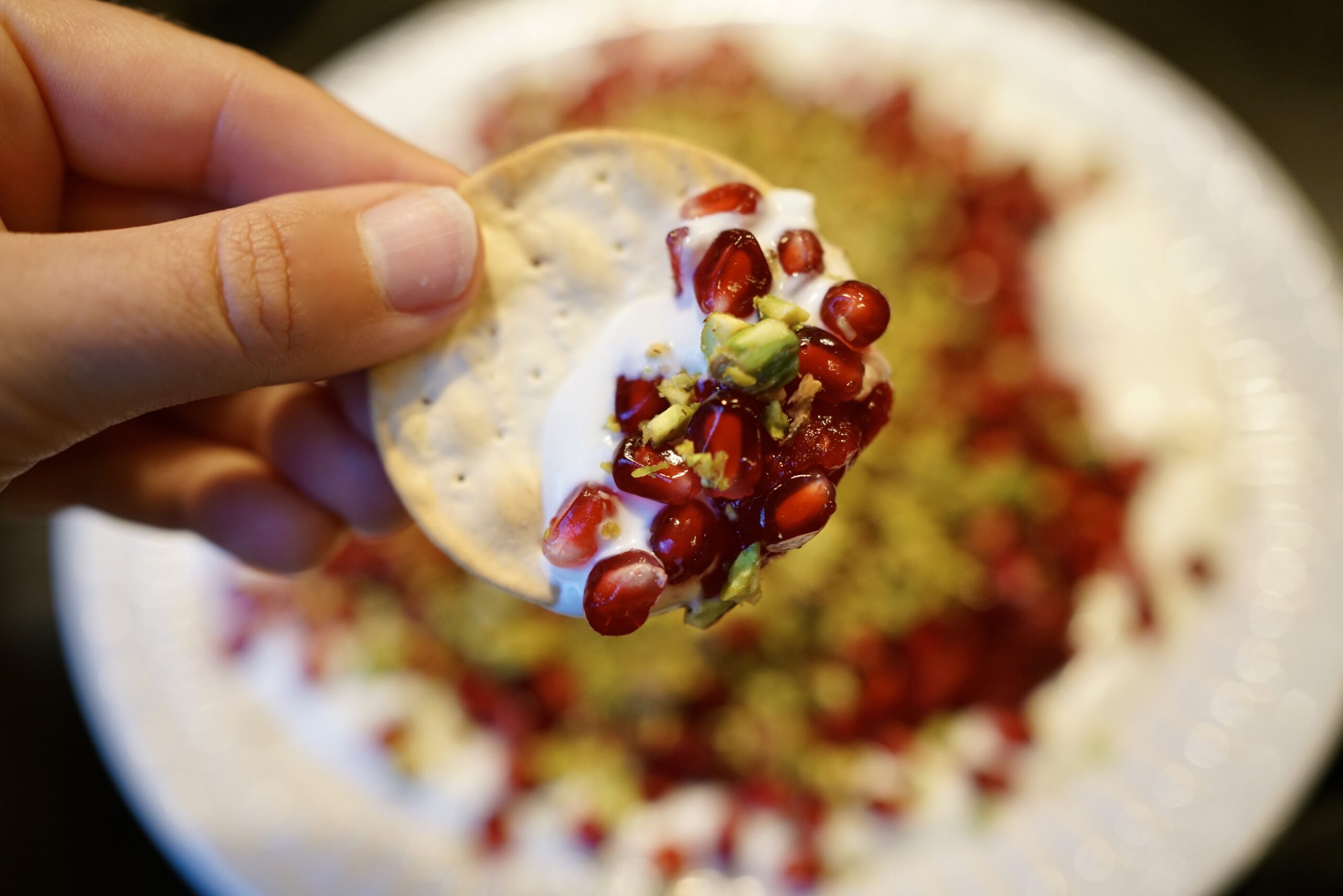 Cranberry and Orange Goat Cheese Dip