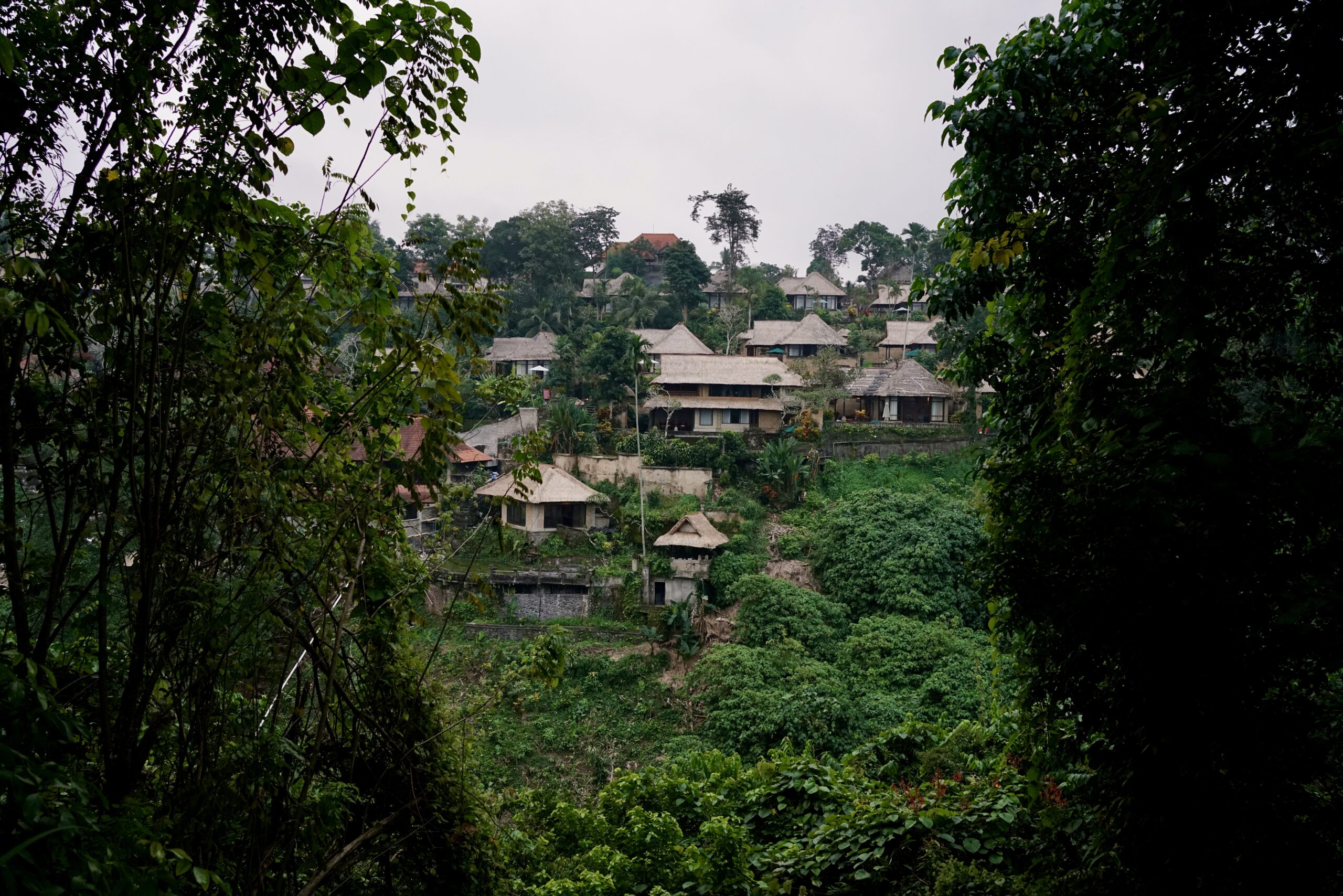 Houses in the jungle behind the trees