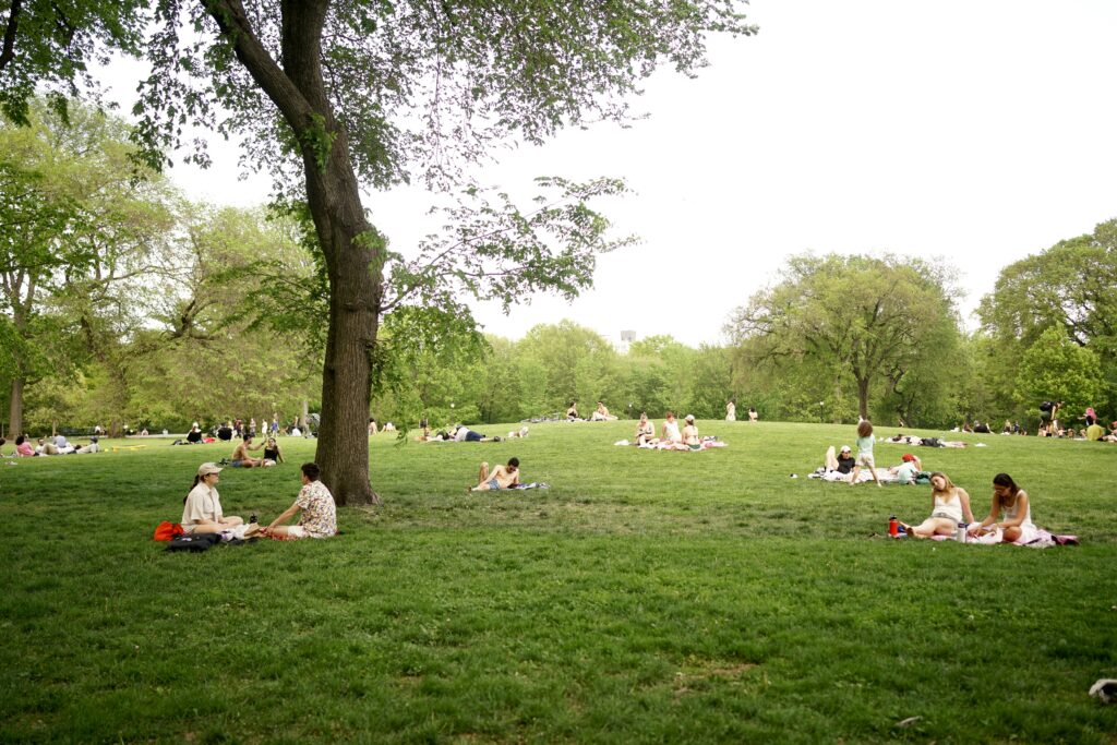 People sitting in a bright green field in Central Park in New York City