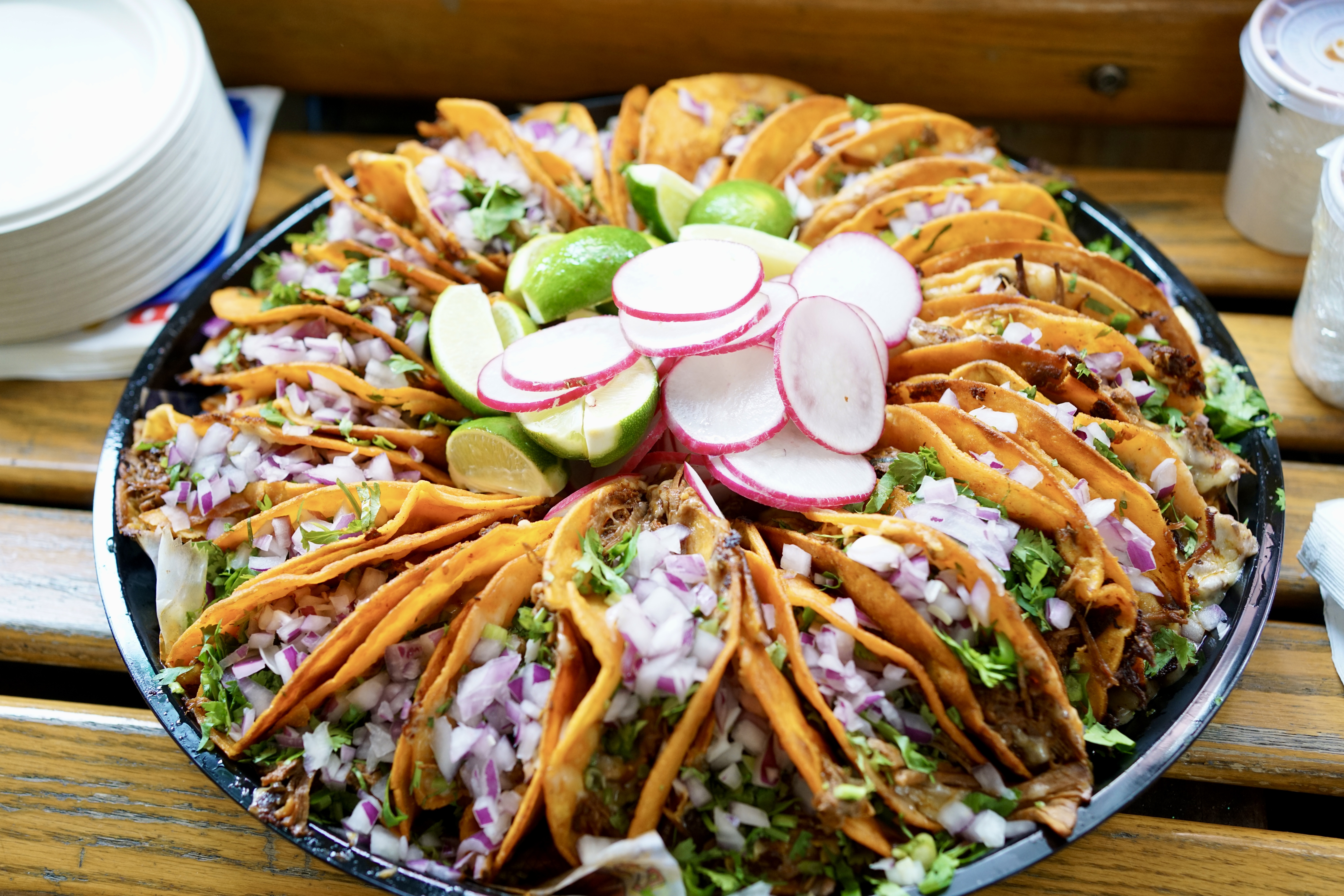 birria tacos on a platter