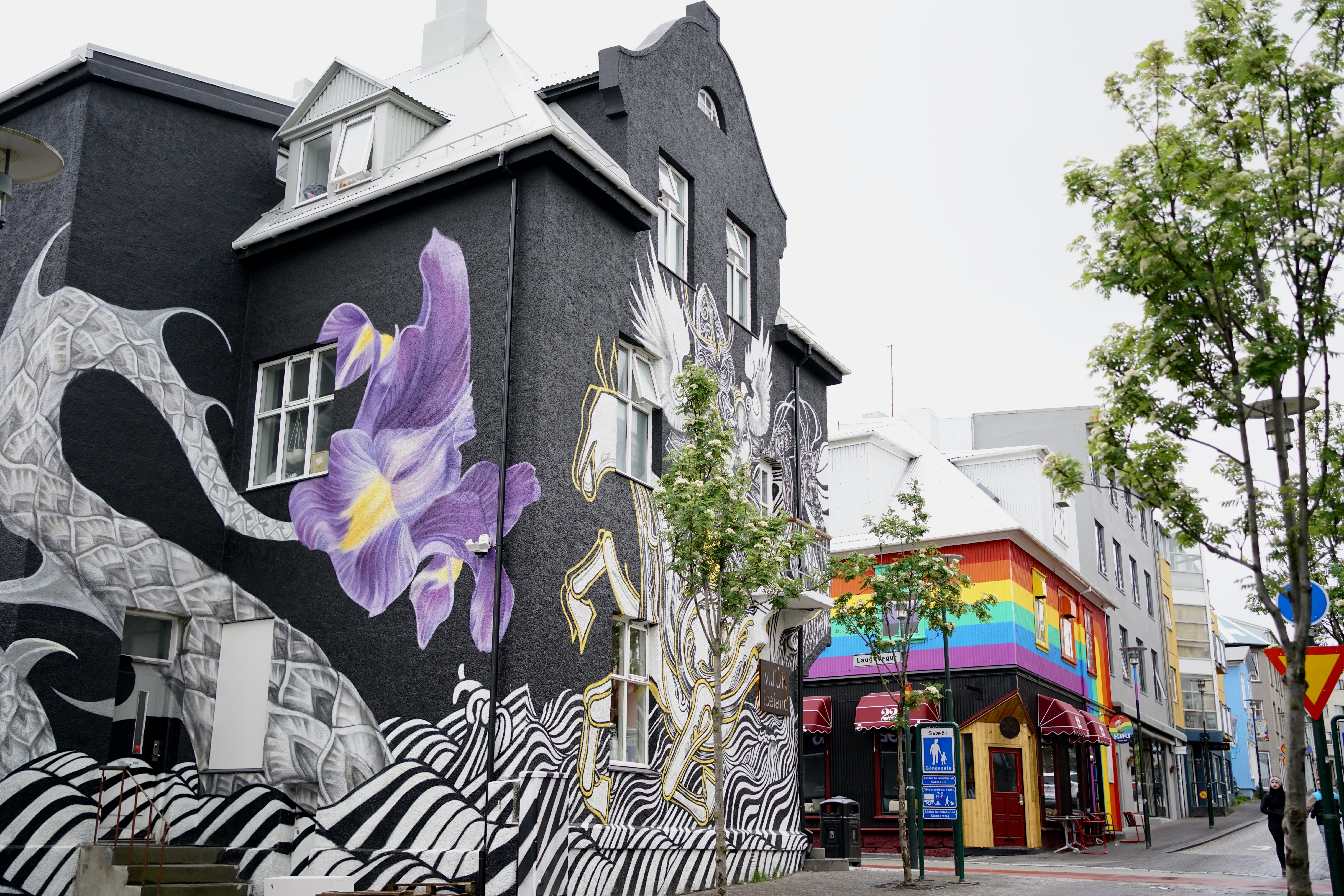 Colorful murals on buildings in Reykjavik