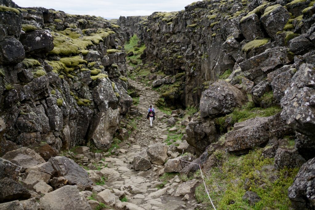 A canyon between two tectonic plates