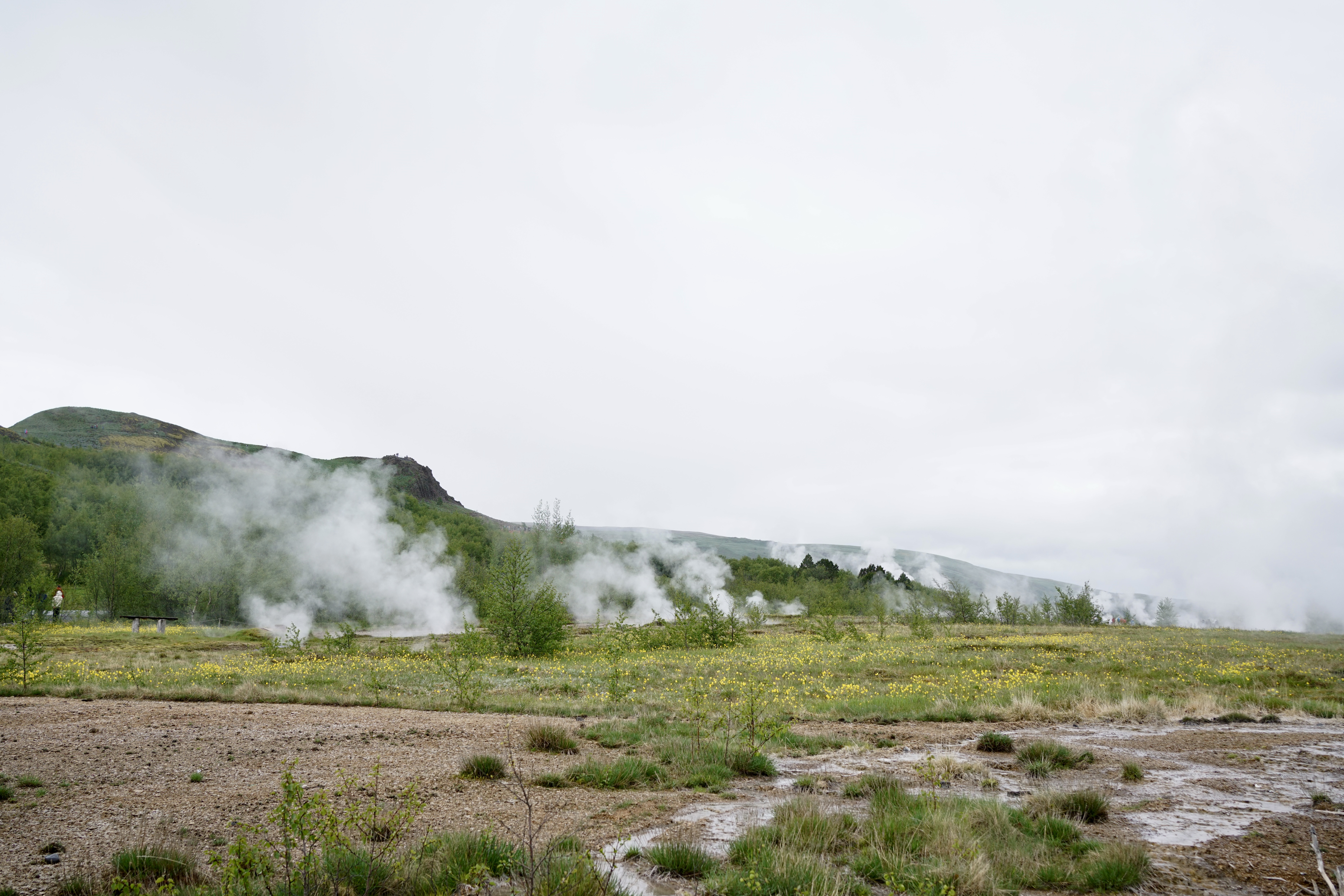Steam rising from the earth in Haukadalur valley