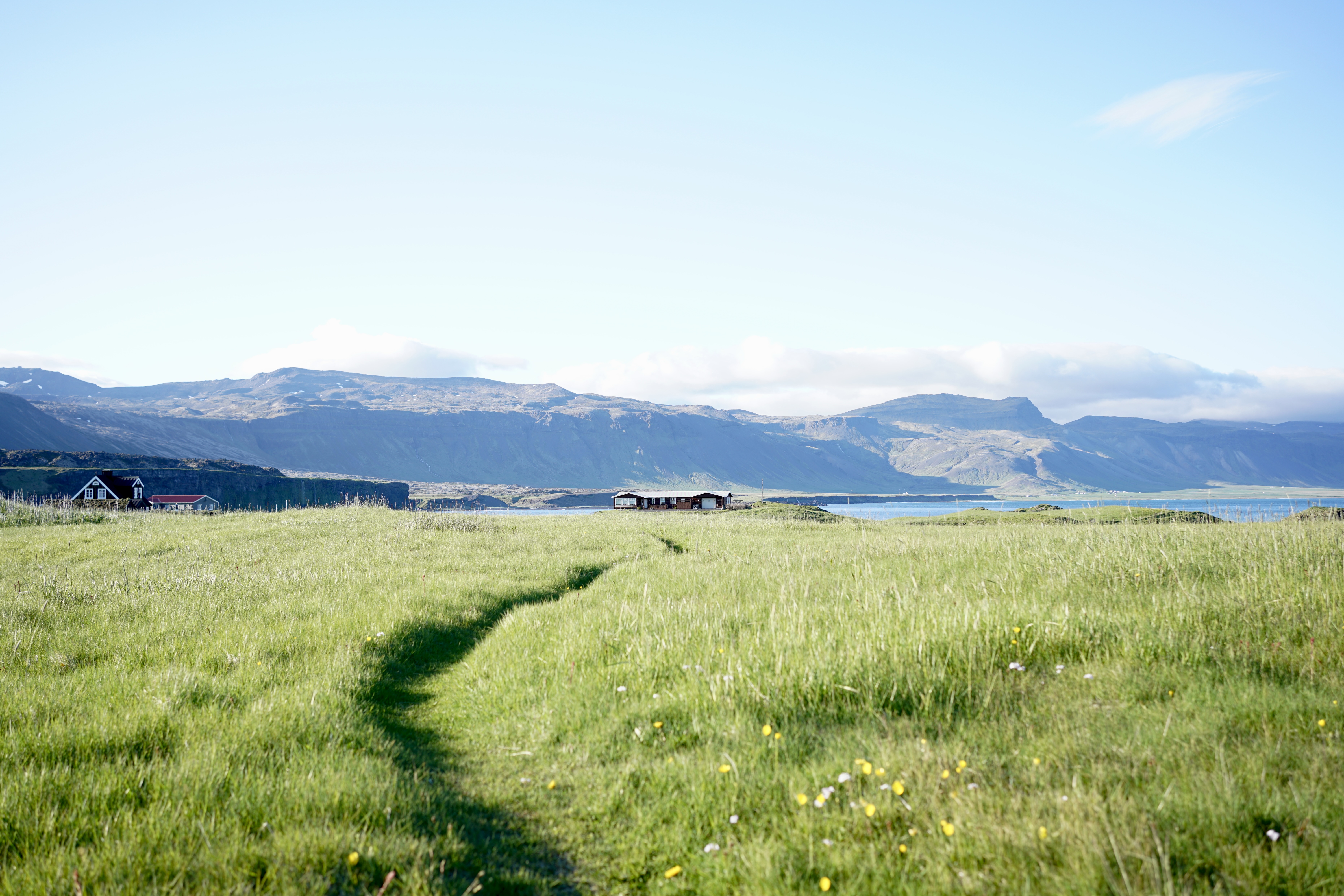 A path in a green grass meadow