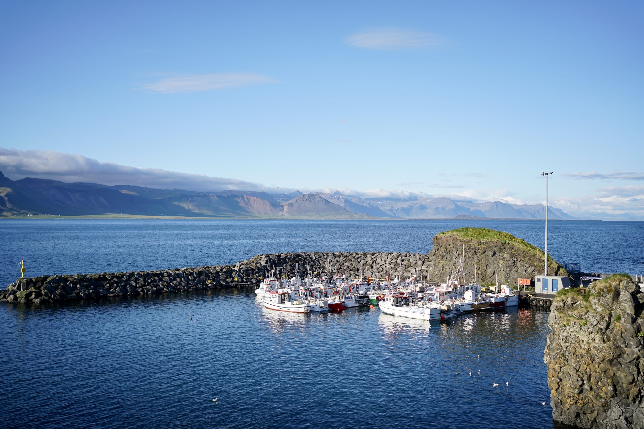 The harbor in Arnarstapi
