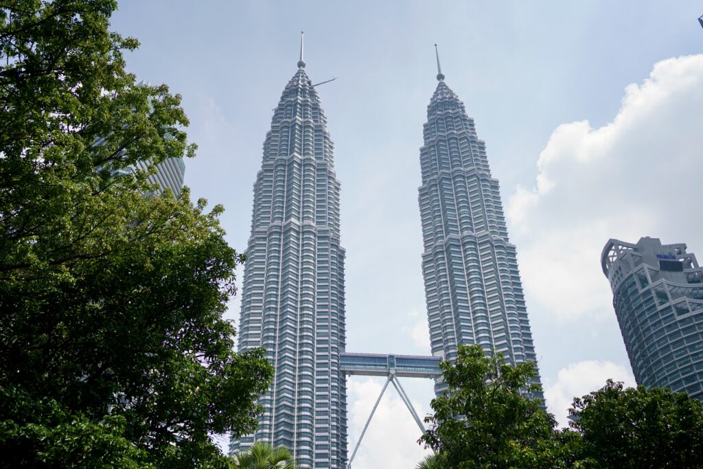 Petrona Towers framed by trees