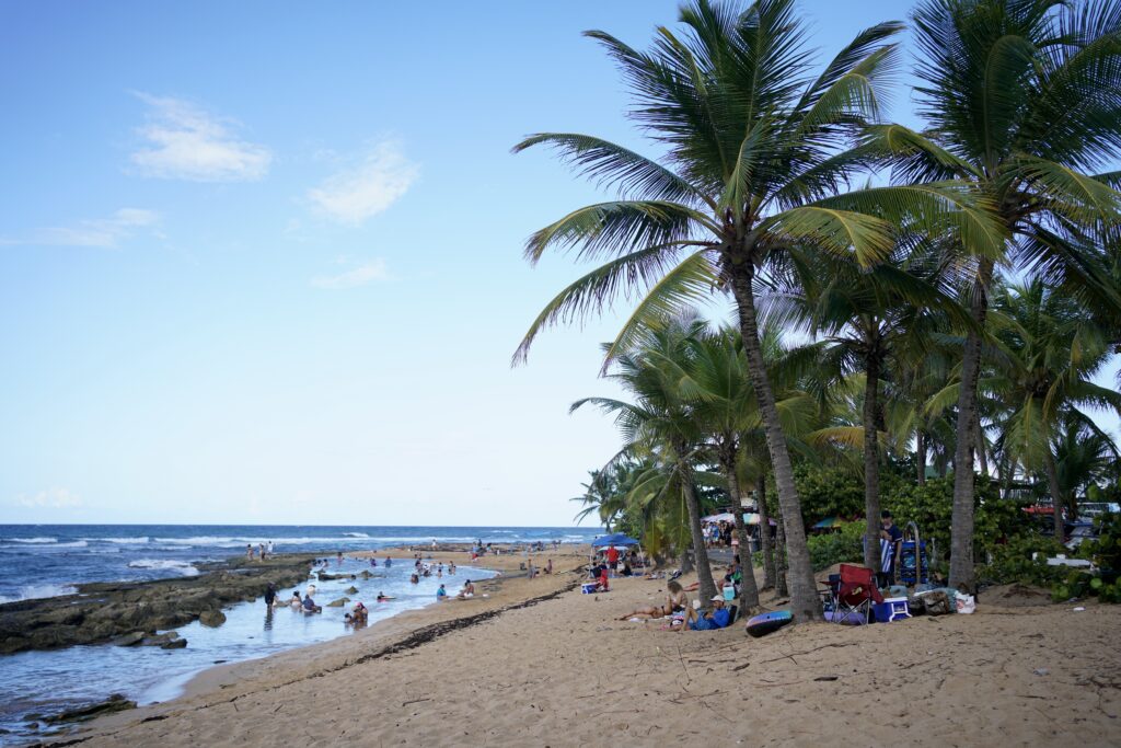 Palm trees along the shore of Piñones beach in Puerto Rico
